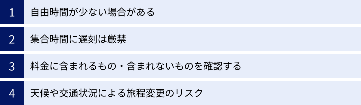 自由時間が少ない場合がある、集合時間に遅刻は厳禁、料金に含まれるもの・含まれないものを確認する、天候や交通状況による旅程変更のリスク