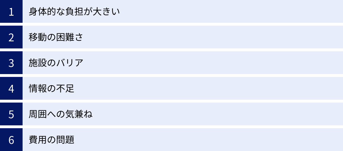 身体的な負担が大きい、移動の困難さ、施設のバリア、情報の不足、周囲への気兼ね、費用の問題