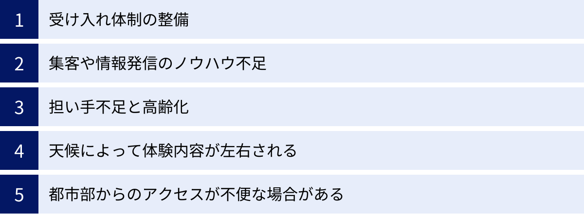 受け入れ体制の整備、集客や情報発信のノウハウ不足、担い手不足と高齢化、天候によって体験内容が左右される、都市部からのアクセスが不便な場合がある