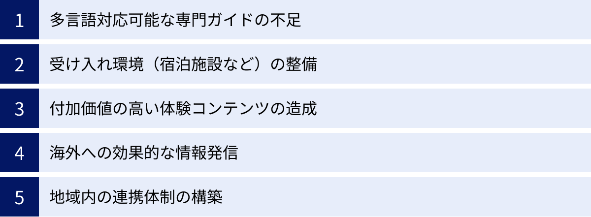 多言語対応可能な専門ガイドの不足、受け入れ環境（宿泊施設など）の整備、付加価値の高い体験コンテンツの造成、海外への効果的な情報発信、地域内の連携体制の構築